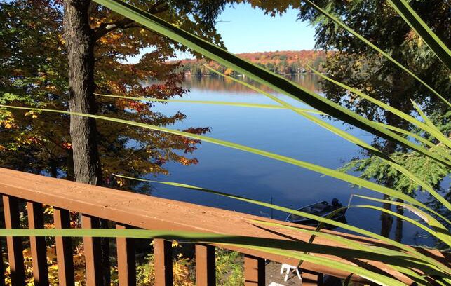 Machar House | Stone Cottage Suite ,Eagle Lake, South River