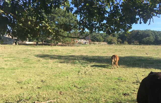 Aldborough House | Plumstead Hall Farmhouse