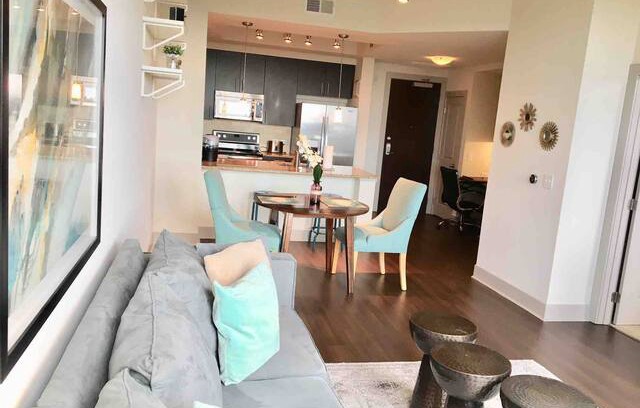 McLean Apartment | Nouvelle luxury high rise in Tysons Near Metro(5)