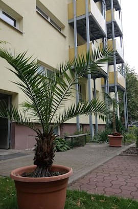 Cottbus Apartment | Wohnung im "Palmental"