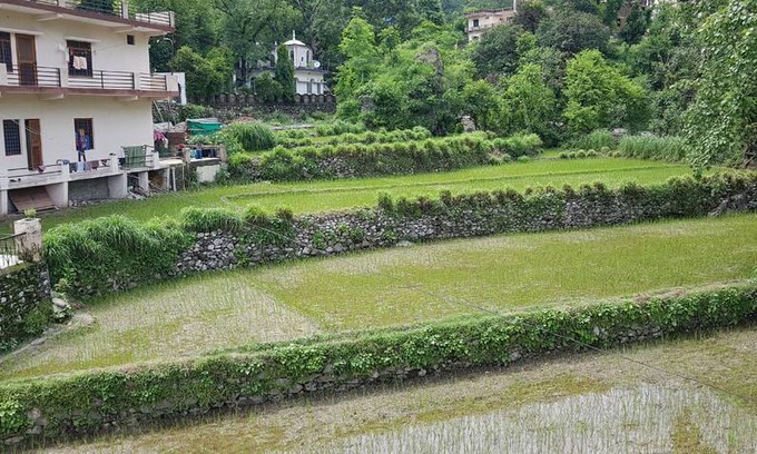 Tapovan Hostel | Rishikesh party backpackers hostel