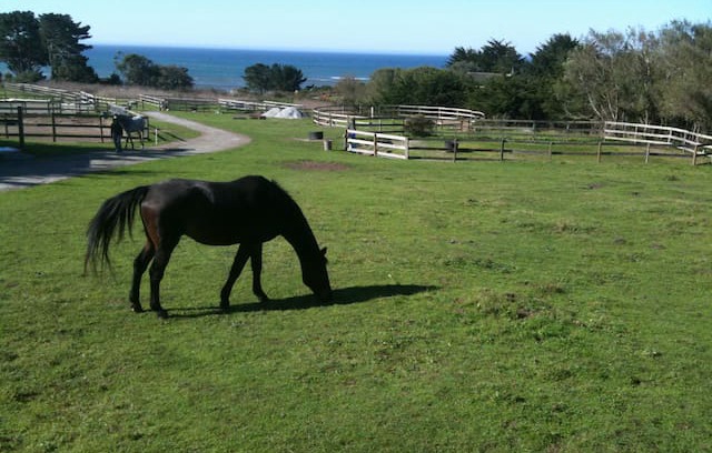 Pescadero Other | Breakaway Farm B&B