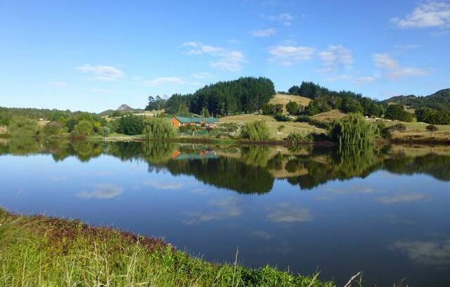 Kaiwaka House | Ducks Paradise