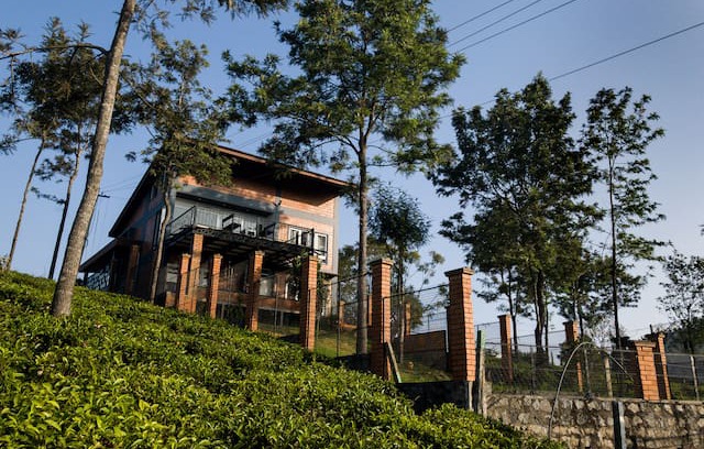 Kotagiri House | A Walk in the Clouds