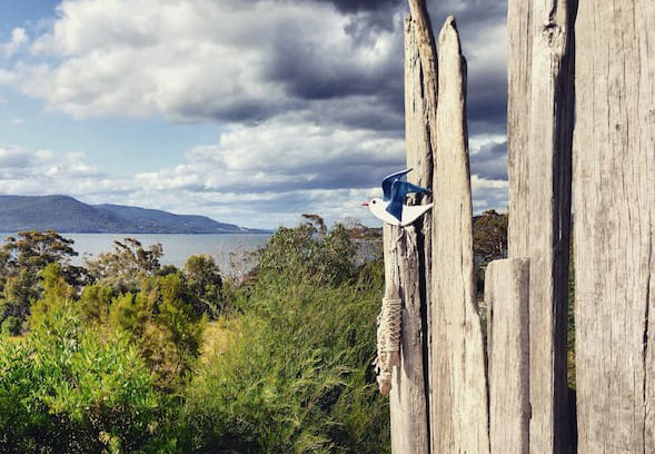 South Bruny House | 'Seabirds', private waterfront location