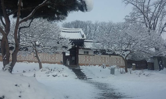 Jeongeup Other | 다유락