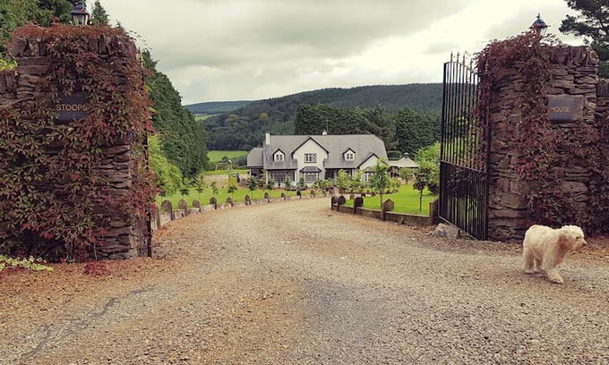Shillelagh House | Stoops House