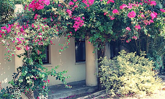 Ladismith House | Barnard B&B