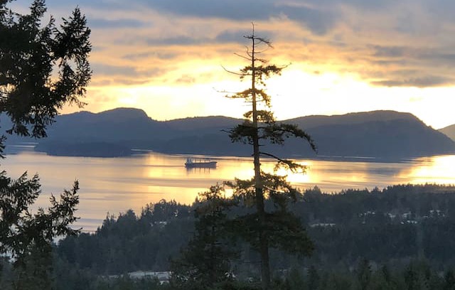 Salt Spring Island Apartment | OceanView GetAway - Eagles Nest Suite