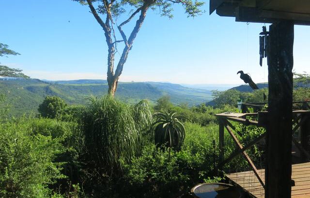 Hilton House | Birds nest... a nature lovers paradise