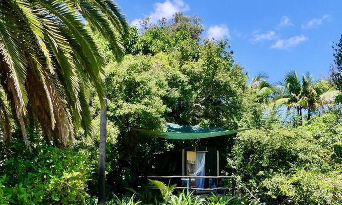 Kerikeri Other | Glamping - The Pear Tree House