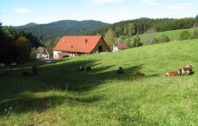 Wolfach - Saint Roman House | Sulzerhof, (Bad Rippoldsau-Schapbach), Doppelzimmer mit Dusche und Etagen-WC