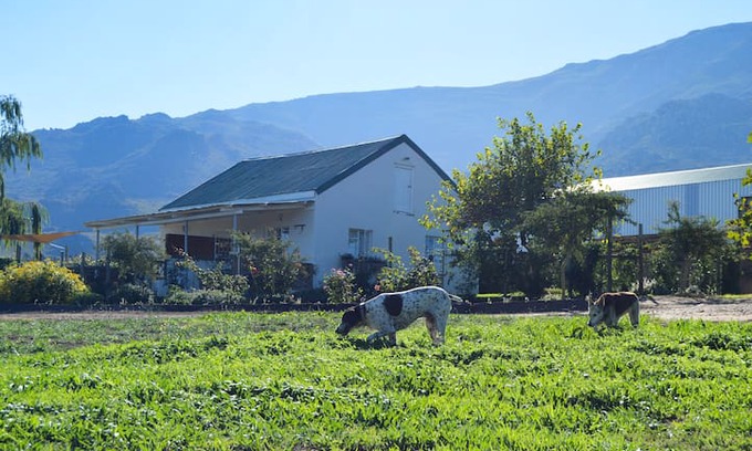 Villiersdorp Other | De Rust Willow Cottage - Villiersdorp, Theewaters
