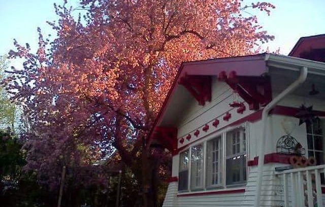 Casper House | Darling Gingerbread House-A Bed & Breakfast