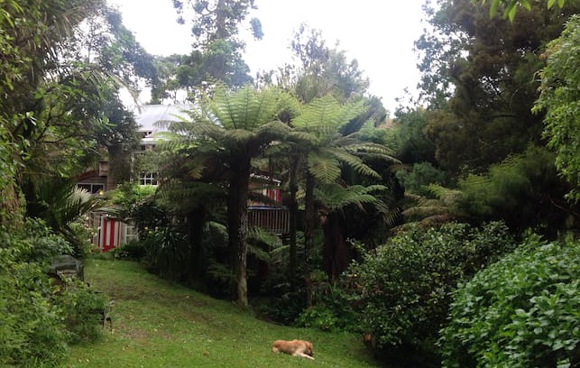 Titirangi Bed & Breakfast | Titirangi Treetops Accommodation