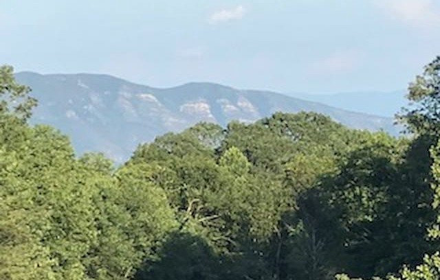 Little Switzerland House | Haus Edelweiss guest suite on Blue Ridge Parkway!