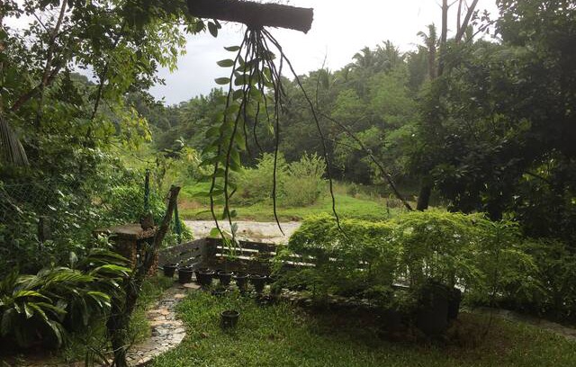 Ponmundi House | 'Ritu'- Riverside Retreat