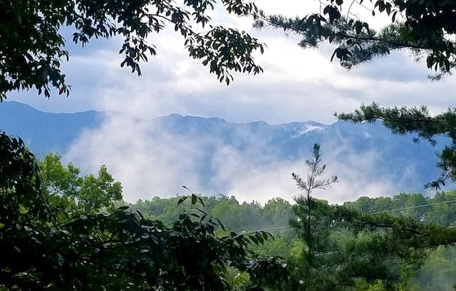 Gatlinburg - Pigeon Forge Cabin | Witt's End