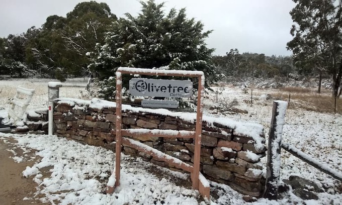 Diamondvale House | The Olivetree Cottage - Stanthorpe