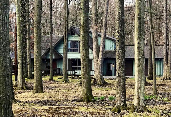 Warren House | The fox and fowl **Minutes from Mosquito Lake**