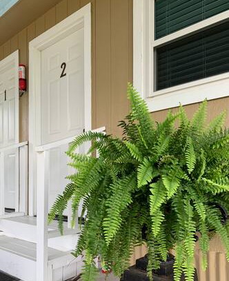 Ledbetter House | Little Oaks Lodging- Ranch Room -2