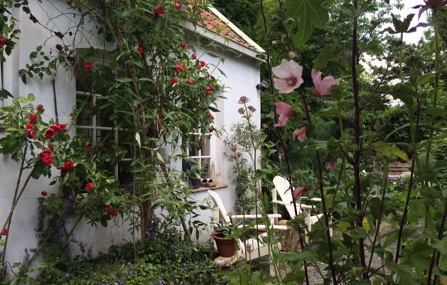 Municipality of Doesburg Bed & Breakfast | Doesburg 19th century old bakery