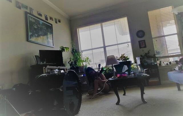 McNeil Apartment | Quaint and Cozy Private Room and Bath