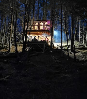 Clare Other | Treehouse by the Lake