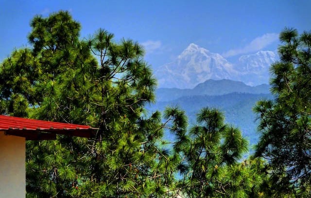 Majkhali Cabin | Sharanam-a paradise Himalayan getaway, Ranikhet
