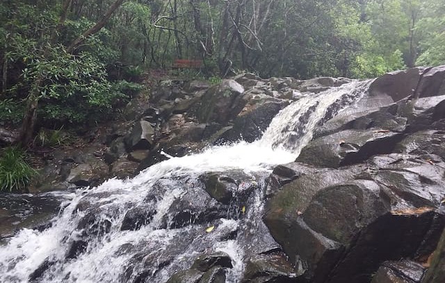 Zara Cabin | Waterfall Hideout RainforestRetreat