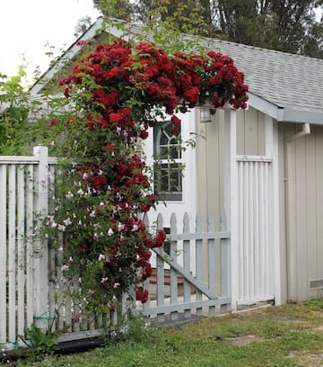 Southwest Santa Rosa House | MY LITTLE FARM COUNTRY STUDIO