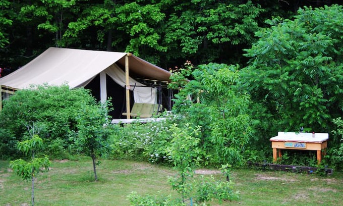 Limerick Other | Dragonfly Meadow Farm