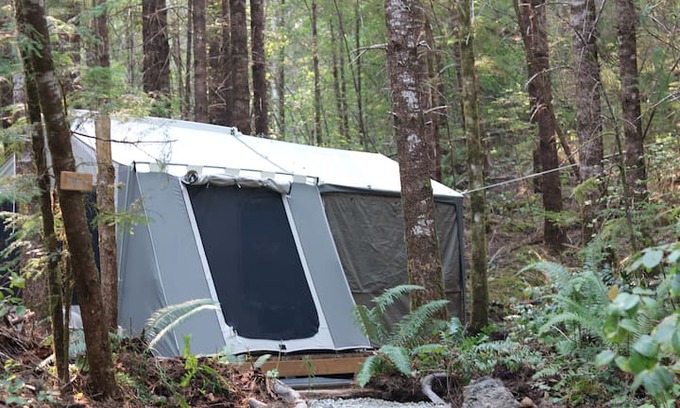 Port Angeles Other | Sol duc rainforest retreat glamping cabin tent 2