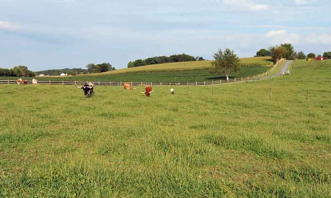 Manheim Other | Airy Hill Ranch Amish Guesthouse - Lancaster PA