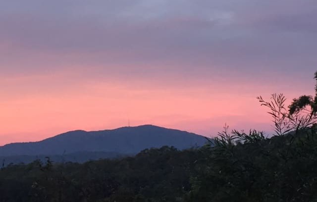 Stewarts River Cabin | Birdsong Cottage - Tranquility with a view.