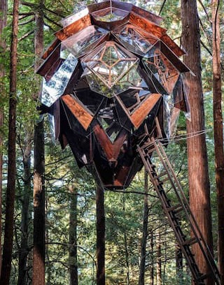 Felton Other | The Pinecone Treehouse