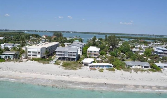 Englewood House | Blue Dolphin on the beach! Sharks teeth, Shells!