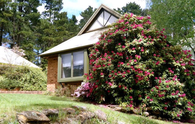 Wentworth Falls House | Wentworth Falls Darwin Lodge