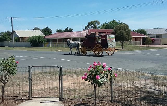 Echuca House | "Rickie’s Shack more than a Shack" PET FRIENDLY'