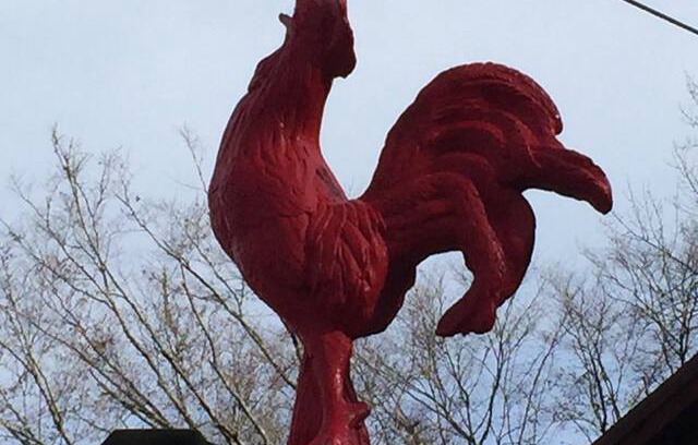 Burnsville Villa | Red Rooster Chalet in Burnsville NC