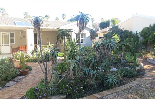 Bergvliet House | Carol's Aloe Garden Guest suite