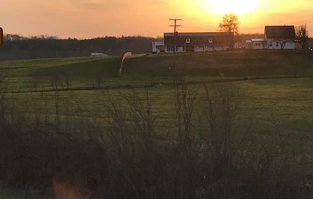 Athens House | The Bobcat Bed & Breakfast on Rooster’s Ridge