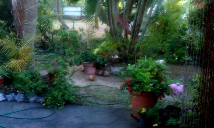 Rodney Bay House | Two Palms B&B in Rodney Bay