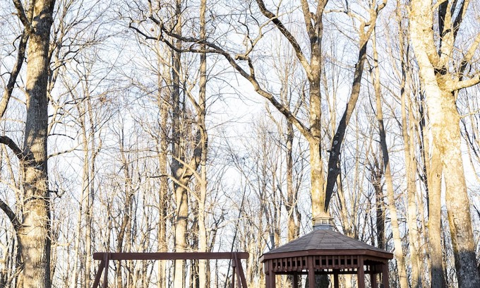 Fancy Gap Cabin | Orchard Gap Inn #2