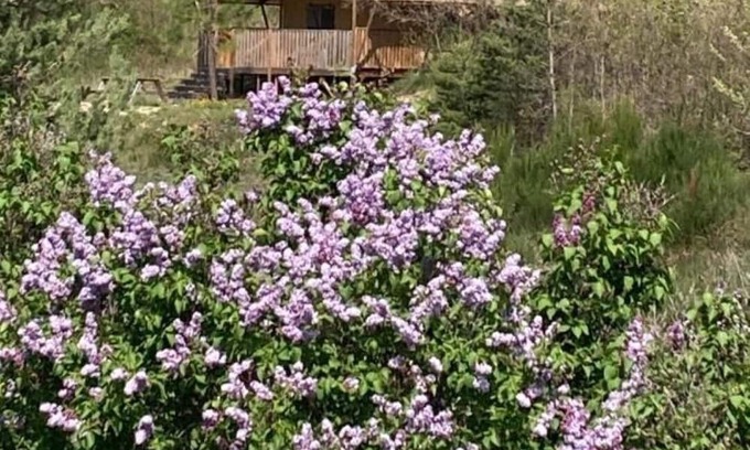 Revest-du-Bion Ski Chalet | Glamping tent3: wild-life feeling with Provence touch 3 bedrooms (max. 6 guests)