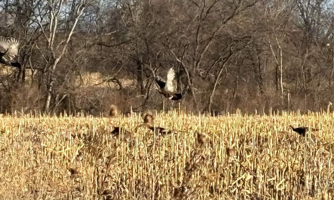 Berwick Cabin | 250+ Acre Private Hunting/Fishing Lodge - 5 minutes to city