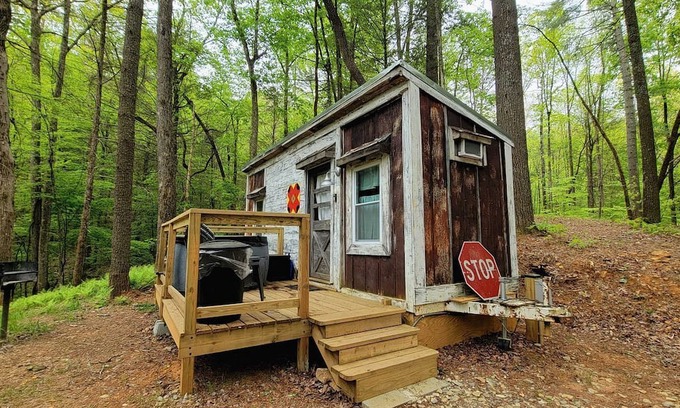 Suches House | Pet-Friendly Tiny Home Rental in the Chattahoochee National Forest, for Glamping in Georgia