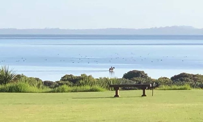 Clarks Beach House | Black Swan Retreat: Lifestyle Charm on a Budget