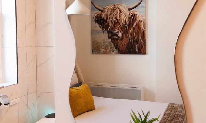 Dublin Apartment | Cosy Croke Park Studio 2, Double Bed with a kitchen and a toilet
