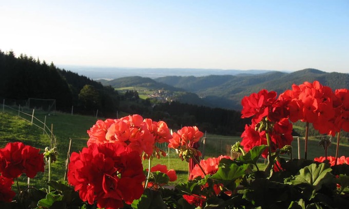 Horben Apartment | Panoramablick, Typ C, 65 qm, 2. Etage, max. 3 Pers.